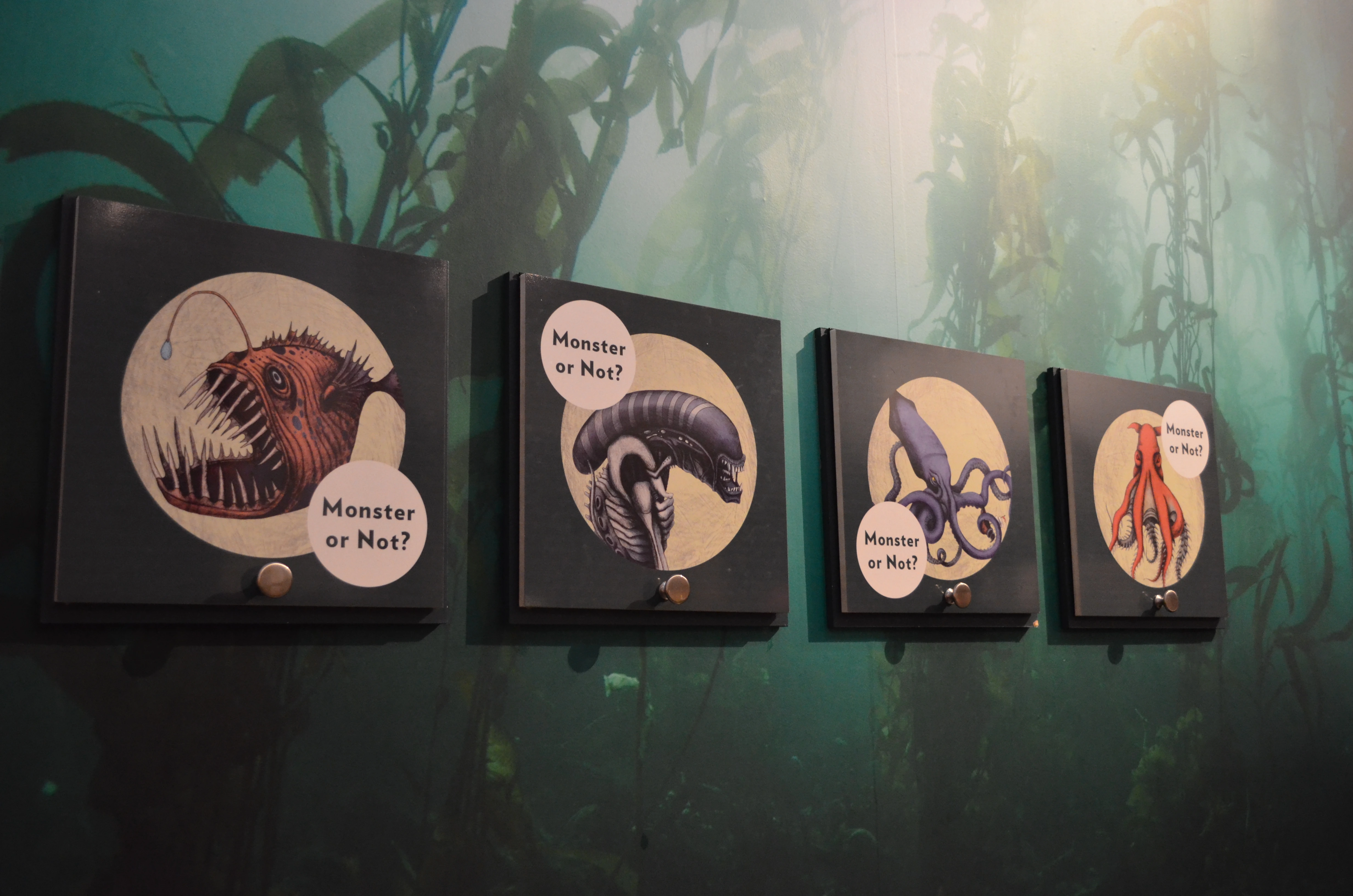 Balboa Park Museum of Man