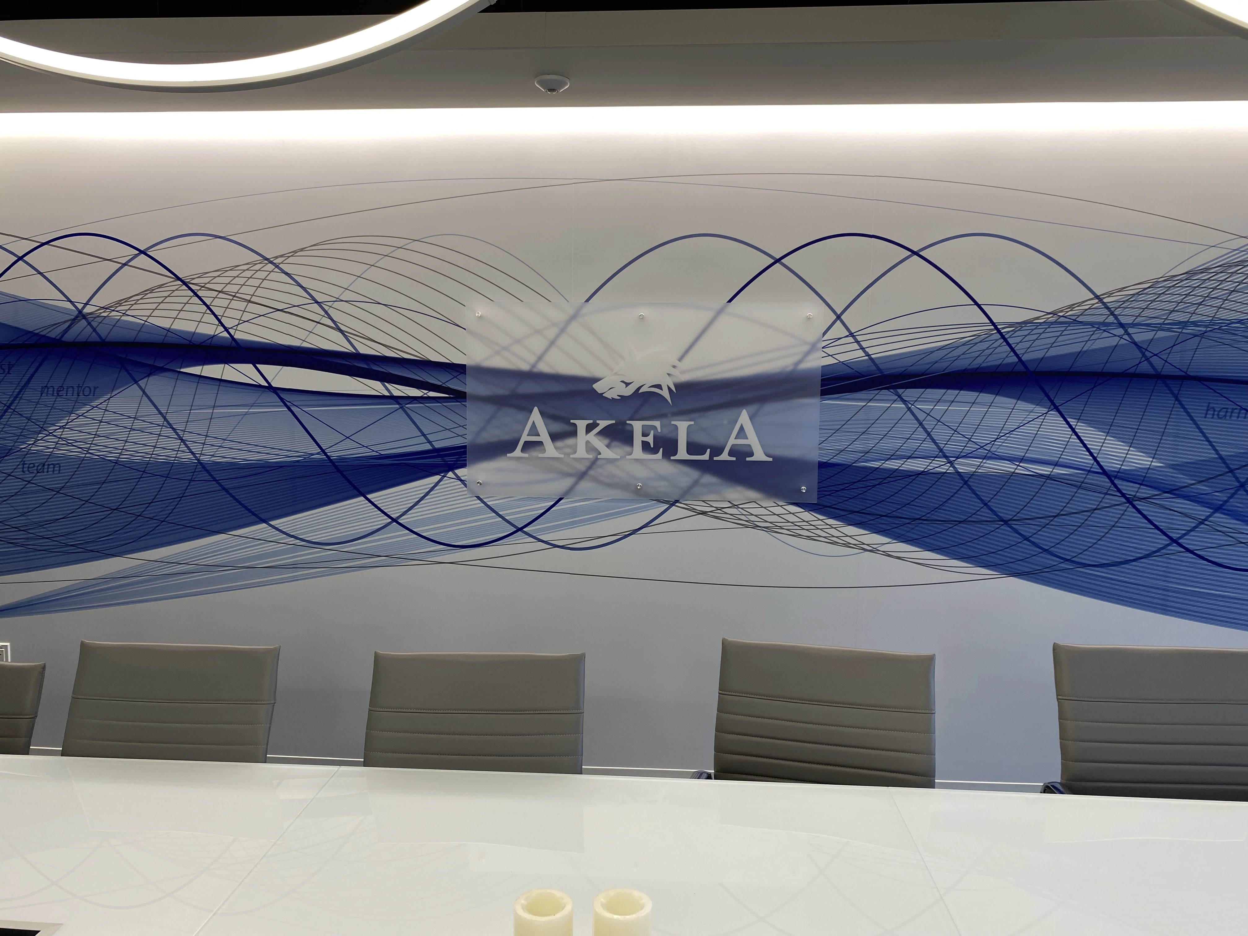 Akela Engineering & Consulting